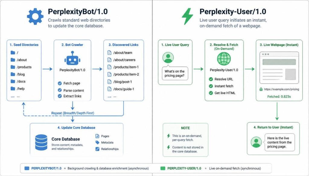 Technical architecture diagram detailing how to configure firewall permissions using our Perplexity SEO Guide to allow automated indexing and live user crawls.