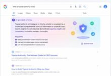 Google AI Overview search results page showing AI-generated summary above traditional links